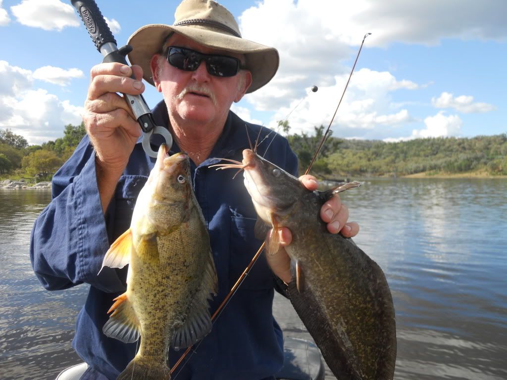Glenlyon dam = insane yellowbelly fishing Freshwater Australian